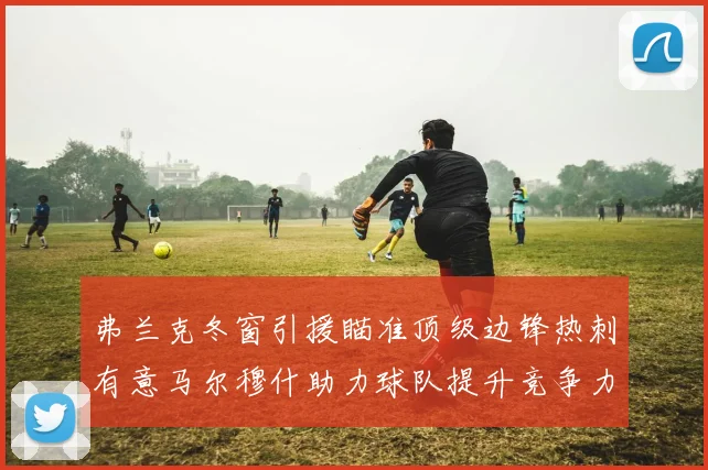 弗兰克冬窗引援瞄准顶级边锋热刺有意马尔穆什助力球队提升竞争力