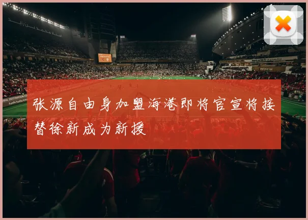 张源自由身加盟海港即将官宣将接替徐新成为新援