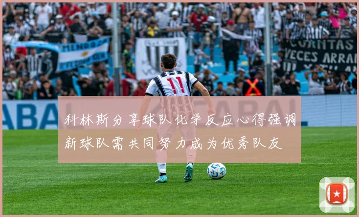 科林斯分享球队化学反应心得强调新球队需共同努力成为优秀队友