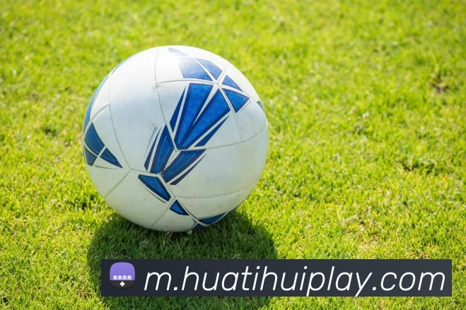 App Interface Preview